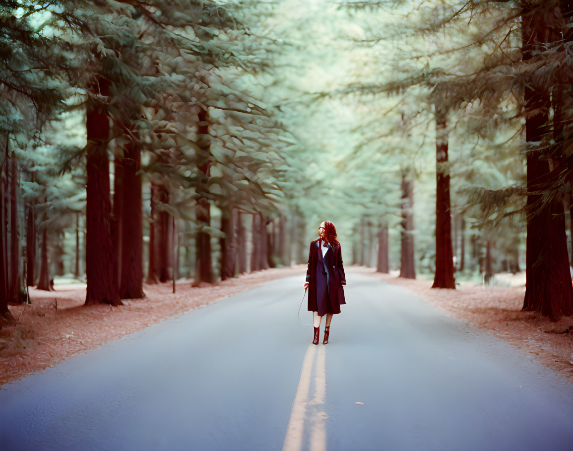 Person standing in snow-covered forest road surrounded by tall trees