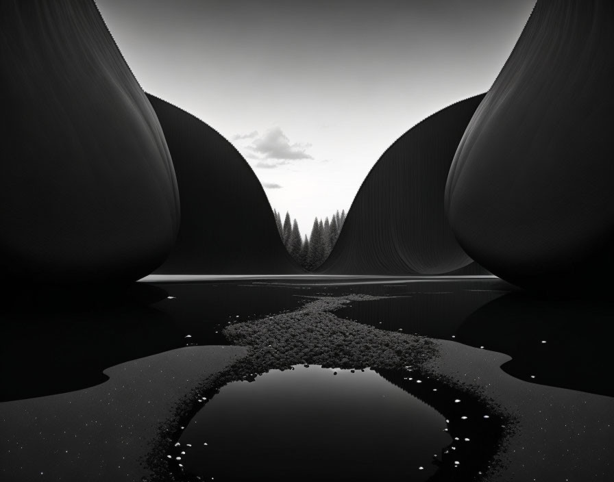 Monochrome surreal landscape with reflective water and curving shapes