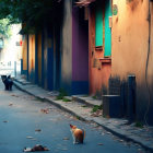 Two Cats in Surreal Deserted Street with Colorful Buildings