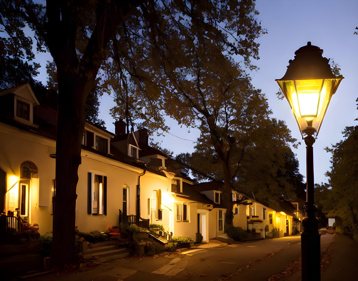 Tranquil Dusk Street Scene with Glowing Lamps and Cozy Homes