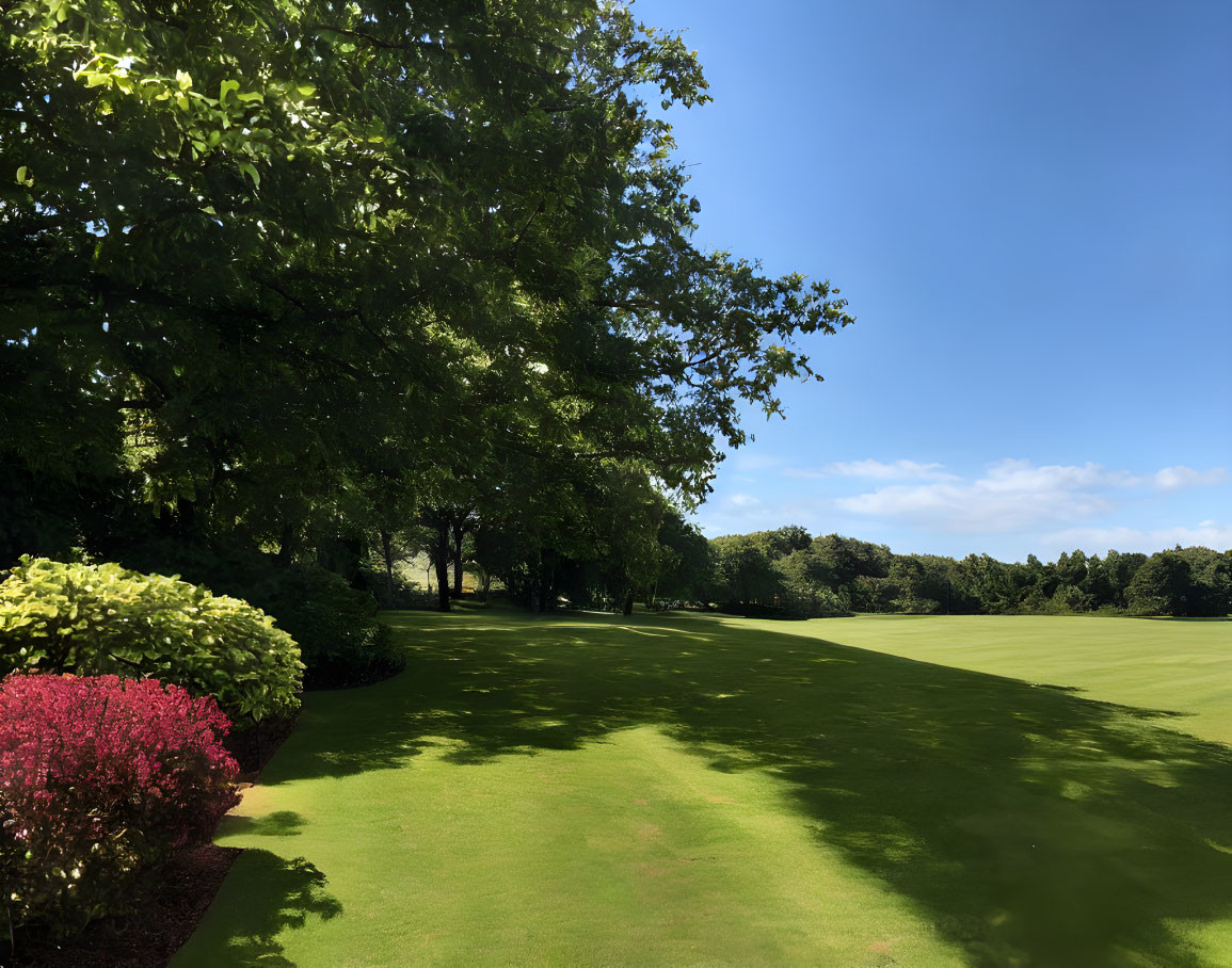 Scenic golf course with manicured green grass, trees, and clear blue sky