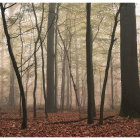 Vibrant autumn forest oil painting with textured details