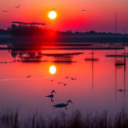 Vivid sunset with dual reflection, reeds silhouettes, birds in pinkish-red sky