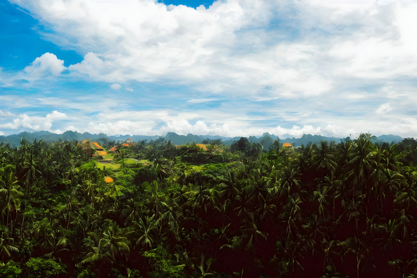 Tropical landscape with dense foliage, houses, and distant mountains