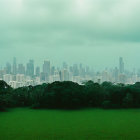 Misty city skyline with lush forest and overcast sky