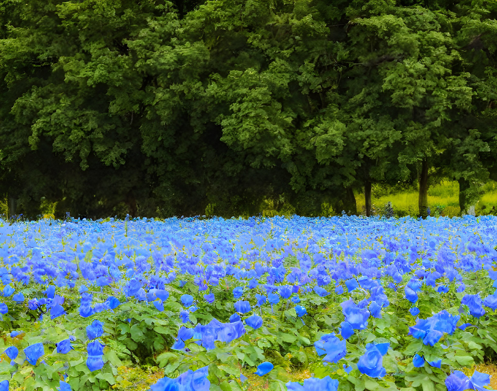 Lush green forest backdrop with vibrant blue flowers