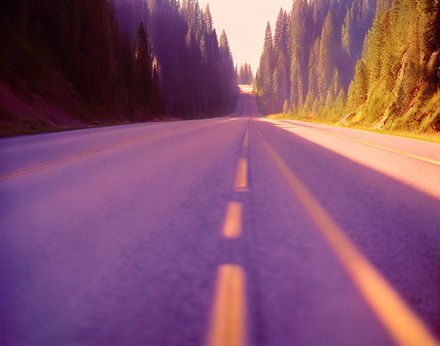 Tranquil forest road under warm orange light