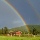 Double rainbow over rural landscape with red barns and wildflower meadow