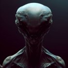 Alien digital artwork with large domed head and intricate textures