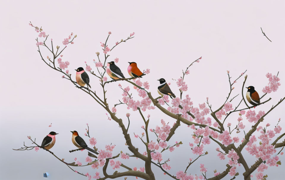 Vibrant birds on cherry tree branches against pale backdrop