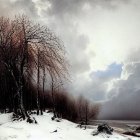 Snow-covered forest with bare and reddish-leaved trees under a starry sky