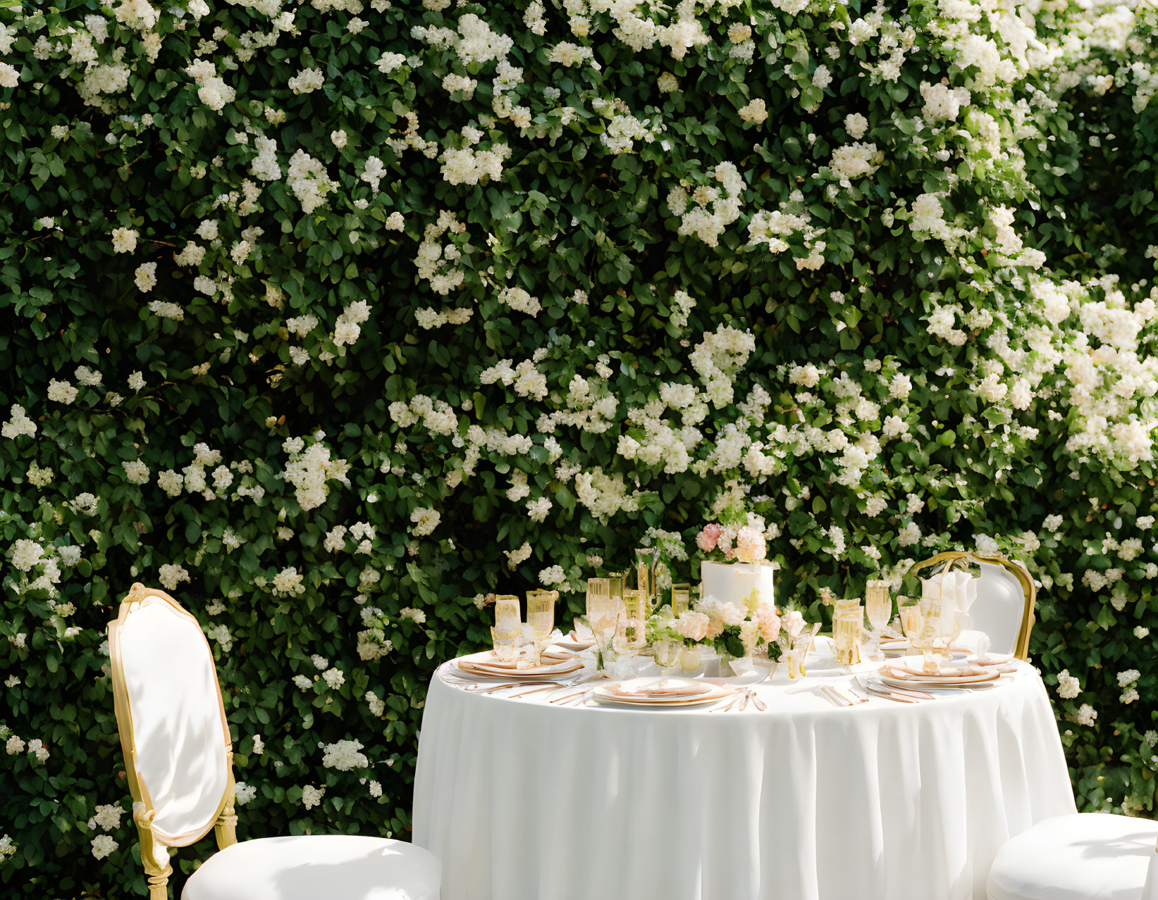 Luxurious outdoor event setup with elegant tableware and chairs in front of lush green hedge.