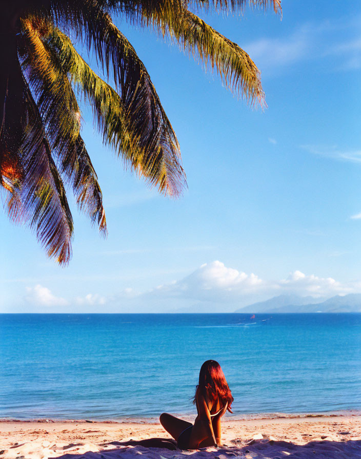 Person sitting on sandy beach under palm fronds, gazing at calm blue sea and distant mountains.