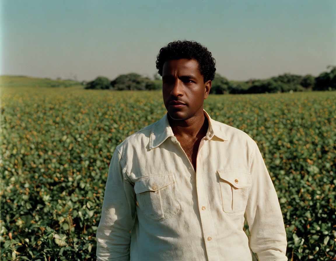 Man in Light Shirt Standing in Crop Field Under Clear Sky