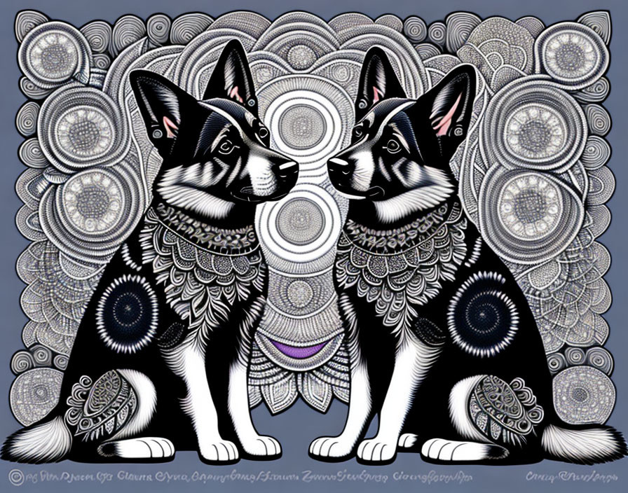 Stylized black and white husky dogs on intricate mandala background