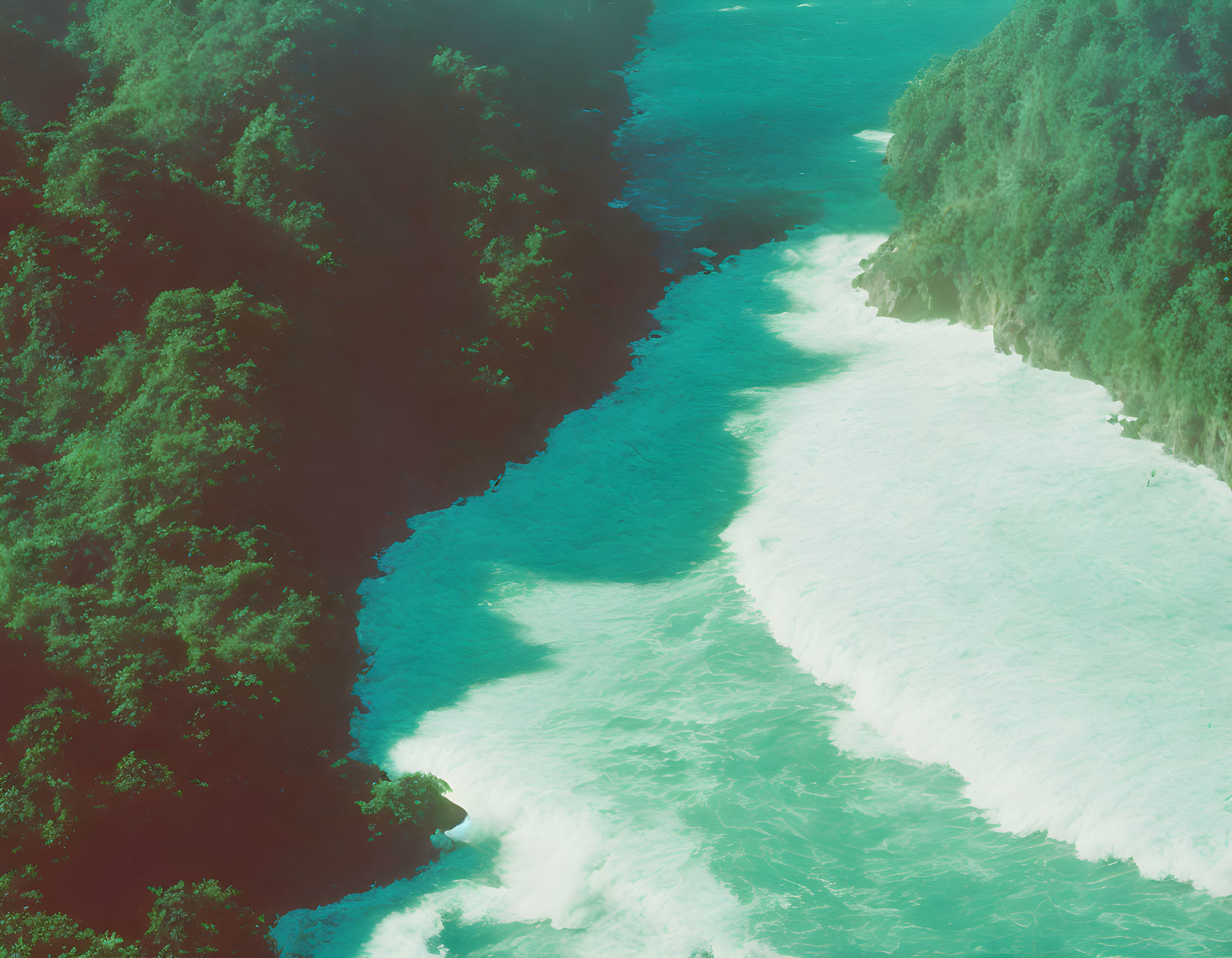 Lush Green Forest and Turquoise River with White Rapids