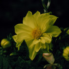 Luminous yellow flower in dreamlike setting