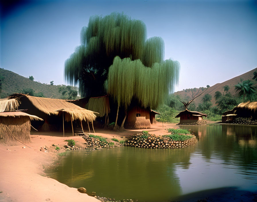 Tranquil rural landscape with thatched huts, pond, and willow tree