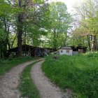 Tranquil forest scene with cobblestone paths and wooden bridges