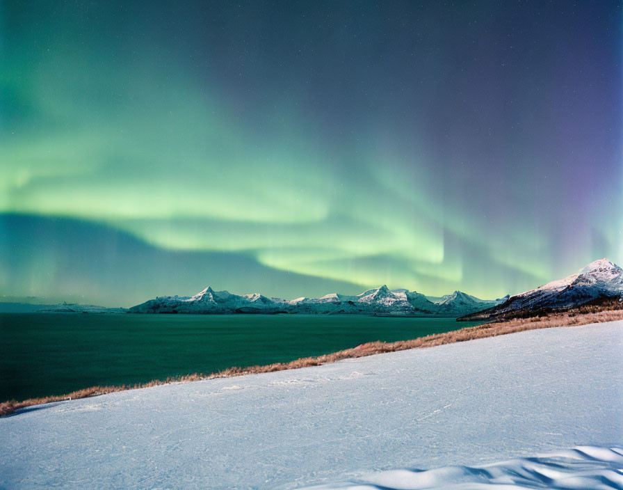 Majestic aurora borealis illuminates snowy landscape