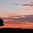 Colorful layered sunset clouds silhouetting treeline at dusk