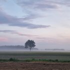 Misty mountain range at dawn or dusk with forest and dramatic sky