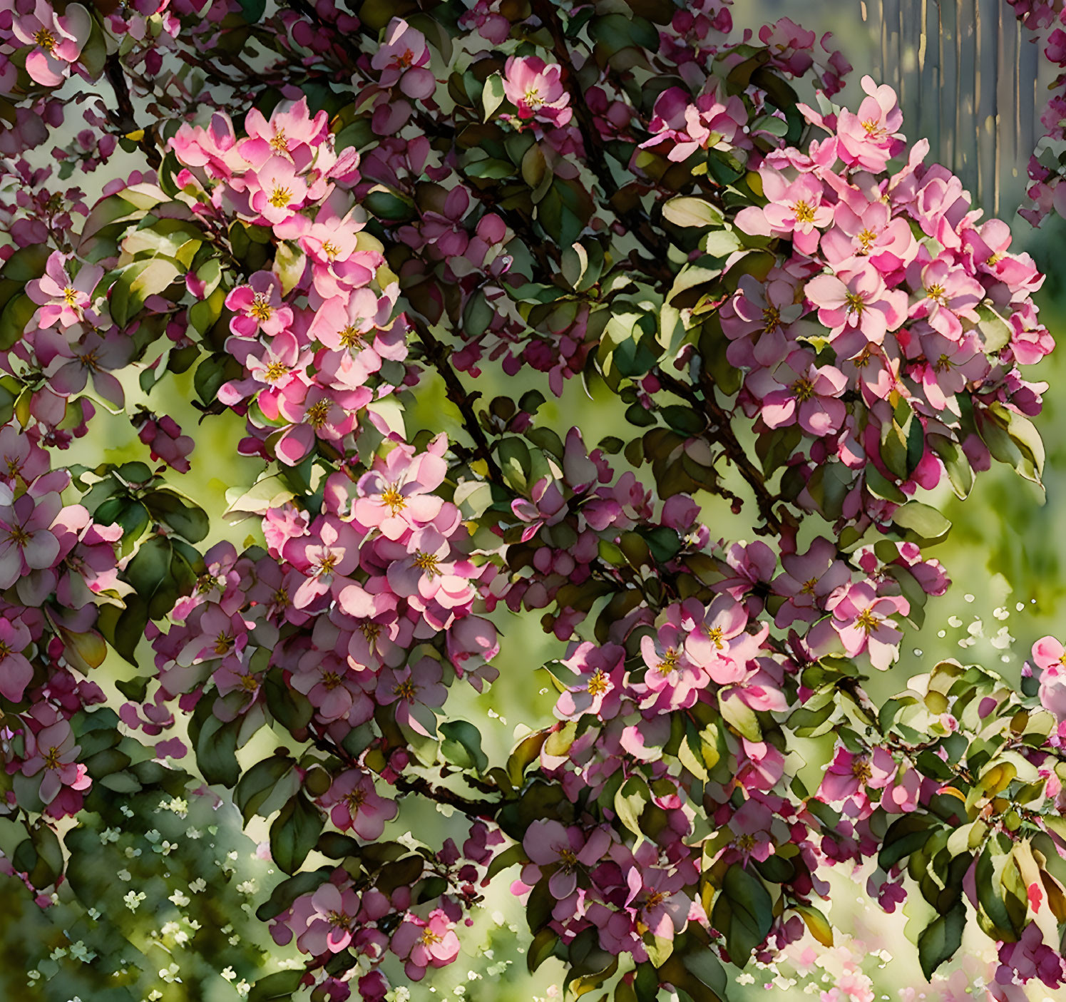 Pink Blossoms on Apple Tree Branches in Soft Sunlight