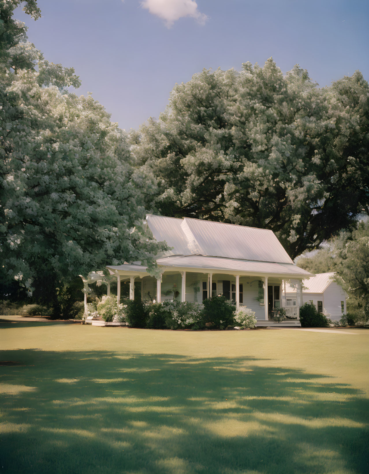 White house with front porch, lush trees, and sunny lawn