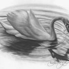 Graceful swan painting on tranquil pond with water lilies