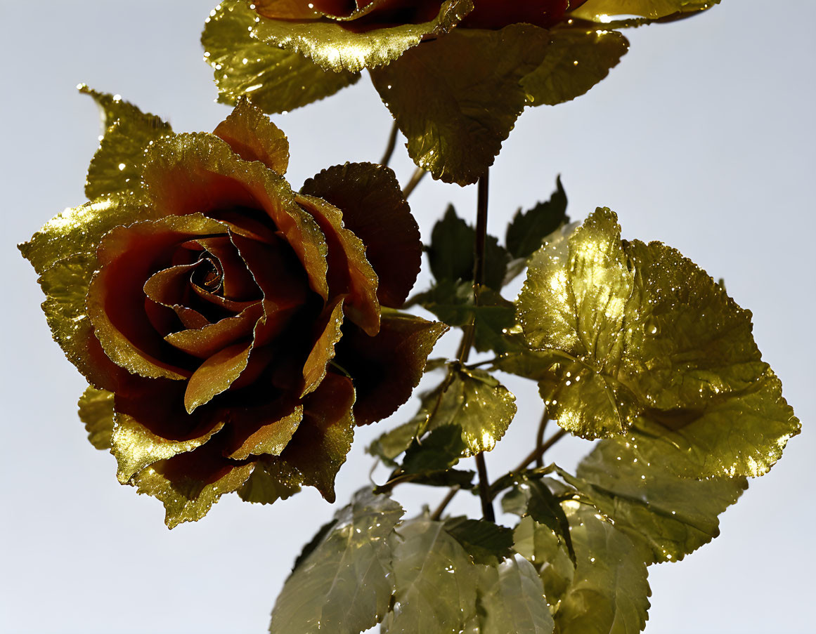 Golden Rose and Leaves on Bright Background: Elegant and Luxurious Theme