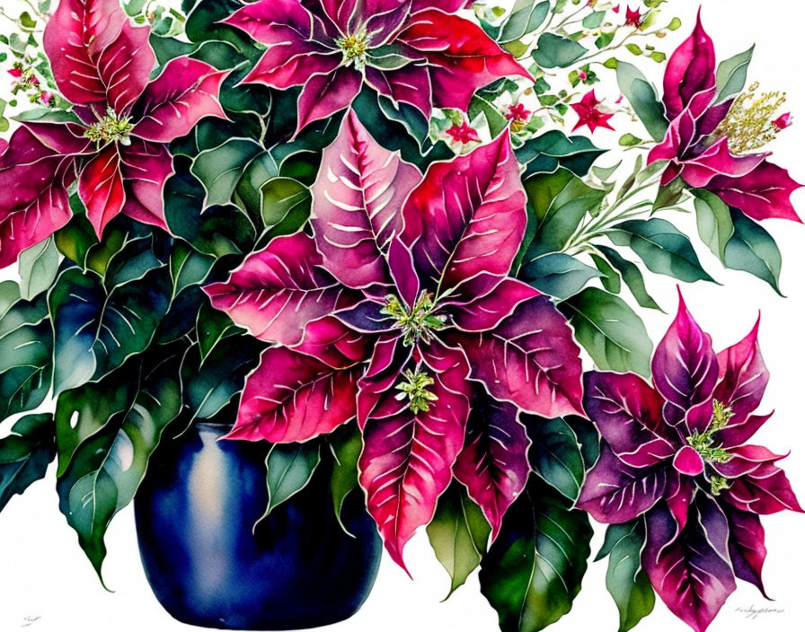 Colorful Watercolor Painting of Red Poinsettia Flowers in Blue Vase