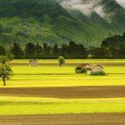 Scenic landscape with greenery, yellow wildflowers, waterfalls, cliffs, and trees.