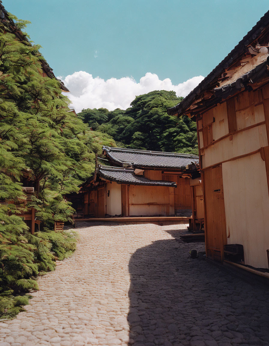 Traditional wooden buildings in serene alley with lush trees