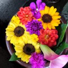 Colorful Rose and Sunflower Bouquet on Dark Background