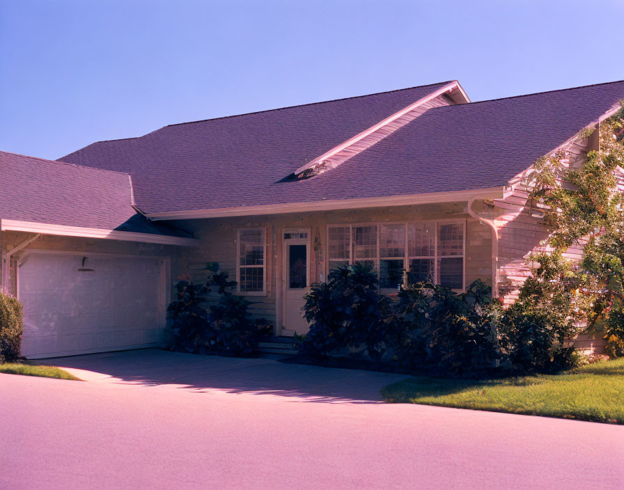 Gray Roof, White Siding, Garage, Driveway in Pinkish Sunset Hue