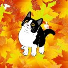 Black and White Cat Resting Among Colorful Autumn Leaves