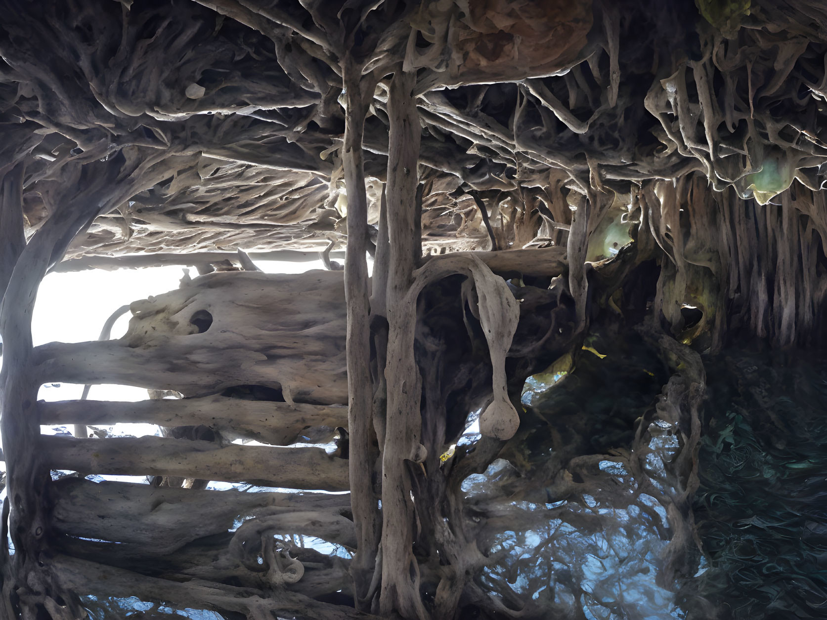 Twisted tree roots over clear water in cave with sunlight.