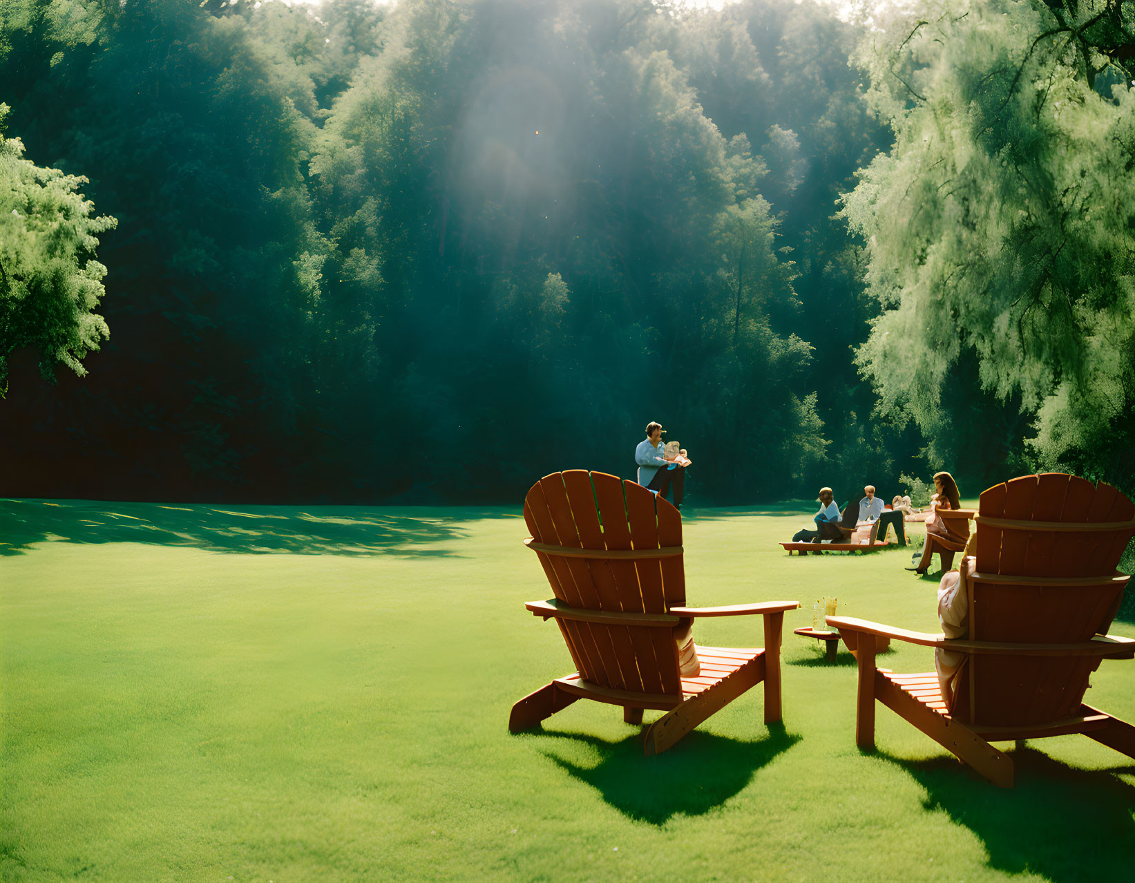 Wooden chairs on green grass in tranquil park setting with people on sunny day