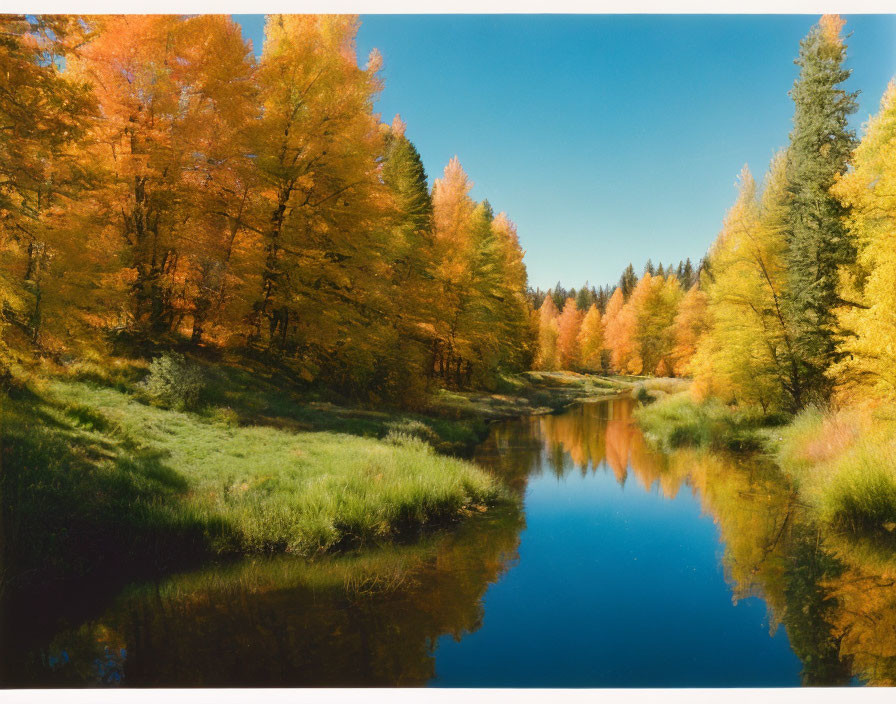 Tranquil autumn river landscape with vibrant foliage