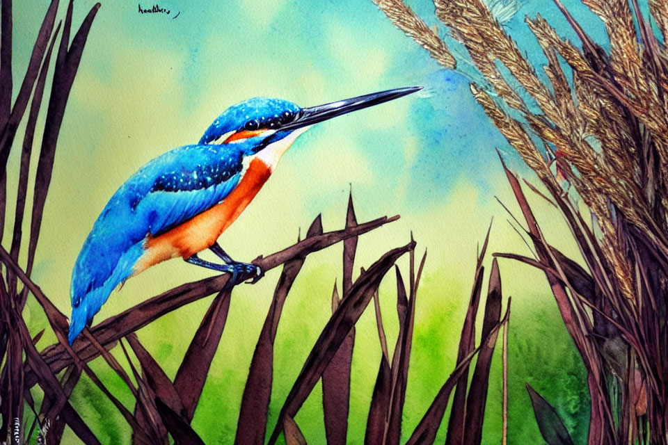 Colorful Watercolor Painting of Blue Kingfisher on Reeds