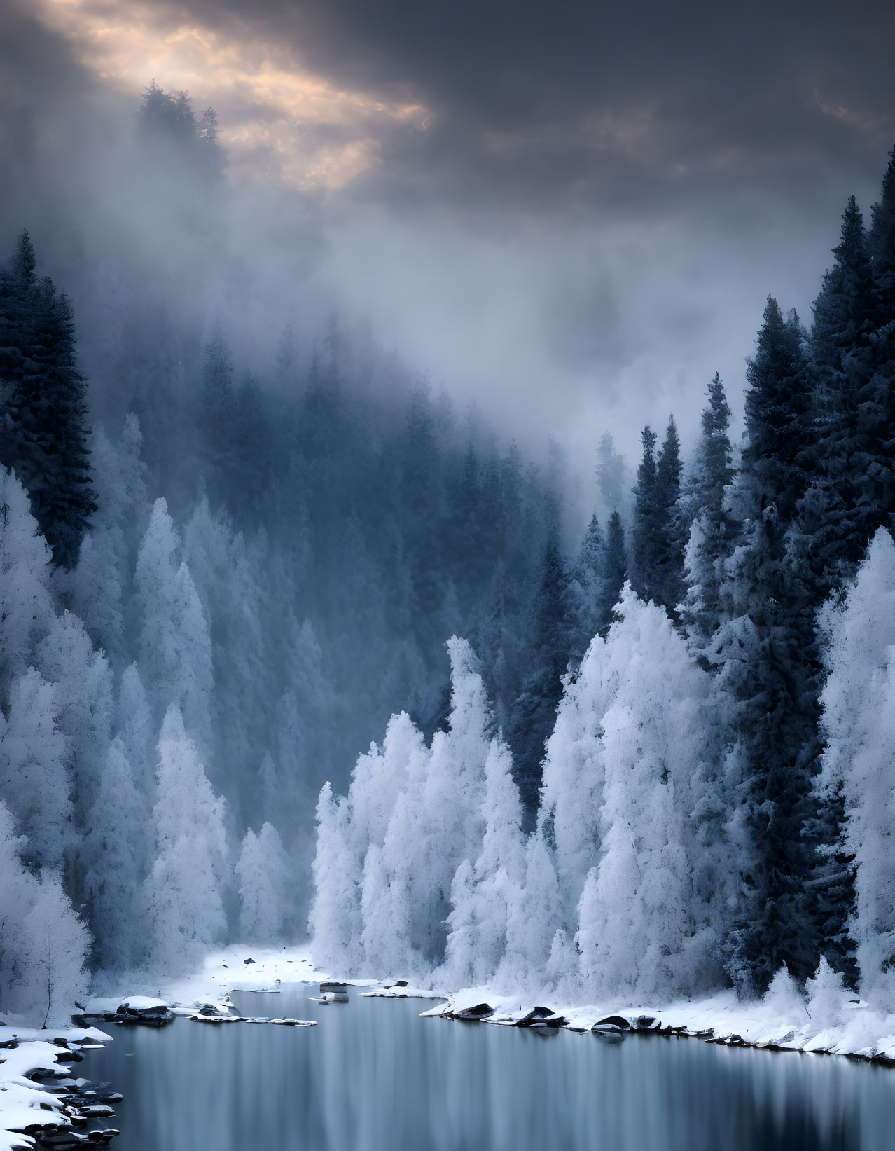 Snow-covered trees and calm river in misty wintry landscape