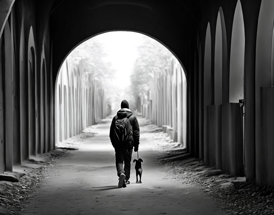 Person with small dog walking through symmetrical arched tunnel casting long shadows