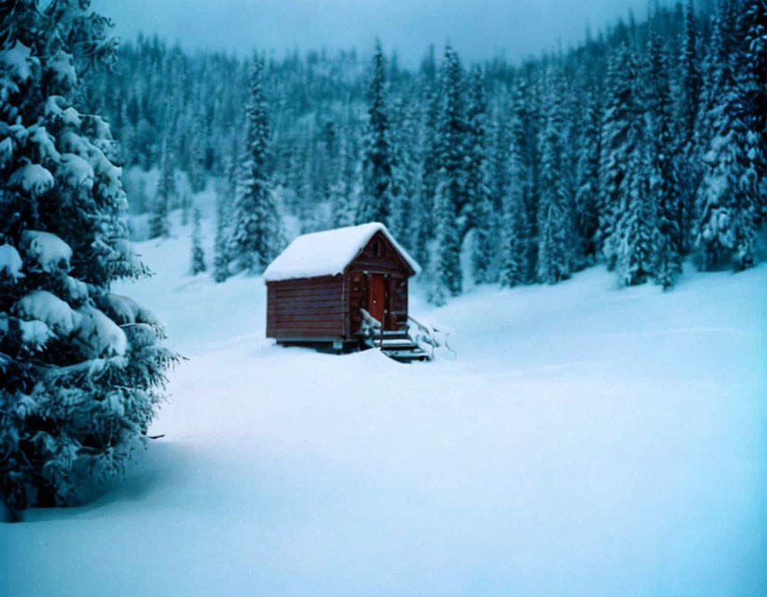 Snowy landscape with small wooden cabin