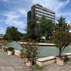 Sculpted trees and colorful flowers in urban garden landscape