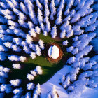 Snow-covered forest with large nest and egg in clearing