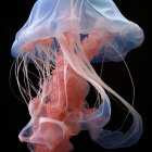 Luminous blue and orange jellyfish with trailing tentacles on dark background