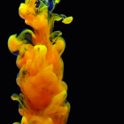 Yellow and Orange Ink Plumes in Water on Black Background