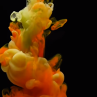 Colorful jellyfish with translucent tentacles on black background