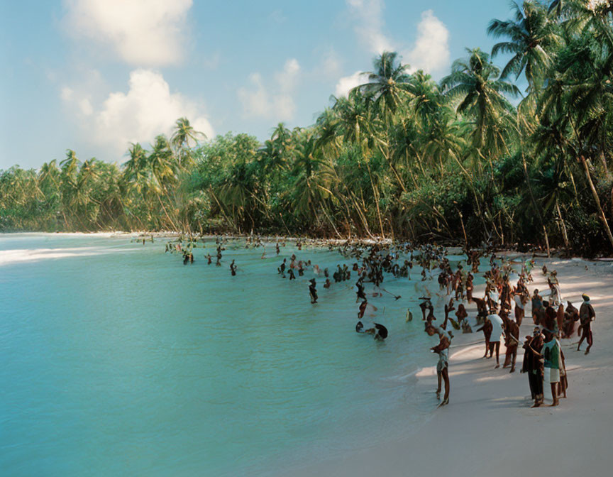 Crowded tropical beach with palm trees and clear blue water