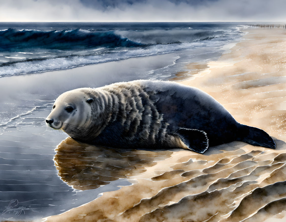 Seal resting on sandy beach with waves and cloudy sky